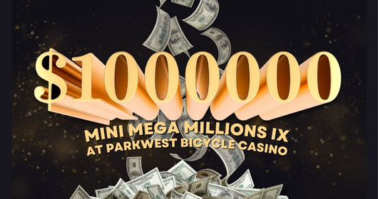 $1,000,000 MINI MEGA MILLIONS IX